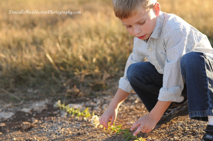 playingwithflowers