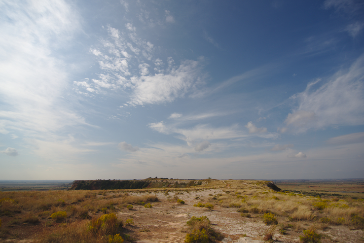 aglossDSC_8304